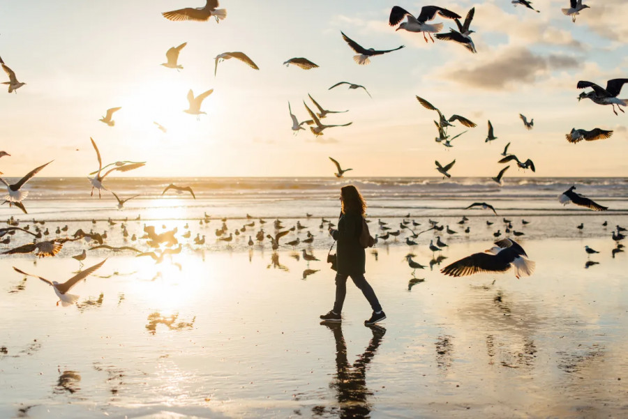Things to do in Portugal in Winter: Best Places to Stay & Visit